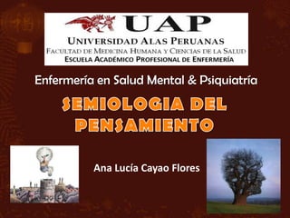 Enfermería en Salud Mental & Psiquiatría




          Ana Lucía Cayao Flores
 