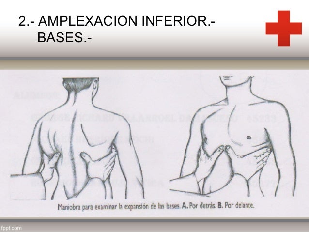 Semiologia del sistema respiratorio