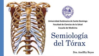 Semiología
del Tórax
Dra. Anelffry Reyes
Universidad Autónoma de Santo Domingo
Facultad de Ciencias de la Salud
Escuela de Medicina
 