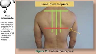 SEMIOLOGIA DEL TORAX.pdf