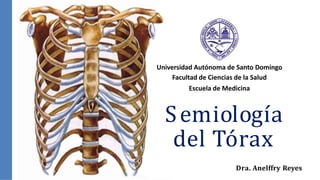 Universidad Autónoma de Santo Domingo
Facultad de Ciencias de la Salud
Escuela de Medicina
Semiología
del Tórax
Dra. Anelffry Reyes
 