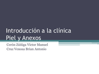 Introducción a la clínica
Piel y Anexos
Cerón Zúñiga Víctor Manuel
Cruz Venosa Brian Antonio
 