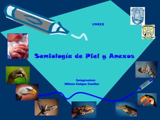 UNSXX
Semiología de Piel y Anexos
Integrantes:
Milton Colque Cuellar
 