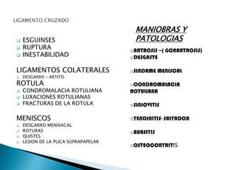 MANIOBRAS Y
   ESGUINSES                           PATOLOGIAS
   RUPTURA                           oARTROSIS –( GONARTROSIS)
   INESTABILIDAD                     oDESGASTE

LIGAMENTOS COLATERALES                oSINDRME MENISCAL
   DESGARRO – ARTITIS
ROTULA                                oCONDROMALACIA
   CONDROMALACIA ROTULIANA           ROTULIANA
   LUXACIONES ROTULIANAS
   FRACTURAS DE LA ROTULA            oSINIOVITIS

MENISCOS                              oTENDINITIS- SALTADOR
   DESGARRO MENISACAL
   ROTURAS                           oBURSITIS
   QUISTES
   LESION DE LA PLICA SUPRAPAPELAR
                                      oOSTEOCONTRITIS
 
