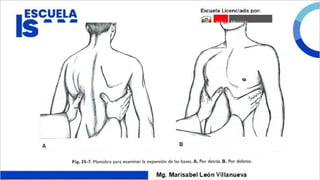 Comprehensive Guide to Thoracic Examination and Respiratory Assessment ...