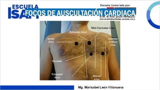 Comprehensive Guide to Thoracic Examination and Respiratory Assessment ...