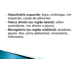  Hipocôndrio esquerdo: baço, estômago, rim
esquerdo, cauda do pâncreas;
 Flanco direito (ou região lateral): cólon
ascendente, rim direito e jejuno;
 Mesogástrio (ou região umbilical): duodeno,
jejuno, íleo, aorta abdominal, mesentério,
linfonodos;
 