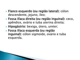  Flanco esquerdo (ou região lateral): cólon
descendente, jejuno, íleo;
 Fossa ilíaca direita (ou região inguinal): ceco,
apêndice, ovário e tuba uterina direita;
 Hipogástrio: bexiga, útero, ureter;
 Fossa ilíaca esquerda (ou região
inguinal): cólon sigmoide, ovário e tuba
esquerda.
 
