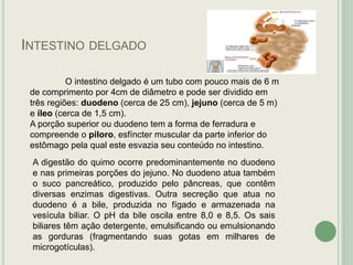 INTESTINO DELGADO
O intestino delgado é um tubo com pouco mais de 6 m
de comprimento por 4cm de diâmetro e pode ser dividido em
três regiões: duodeno (cerca de 25 cm), jejuno (cerca de 5 m)
e íleo (cerca de 1,5 cm).
A porção superior ou duodeno tem a forma de ferradura e
compreende o piloro, esfíncter muscular da parte inferior do
estômago pela qual este esvazia seu conteúdo no intestino.
A digestão do quimo ocorre predominantemente no duodeno
e nas primeiras porções do jejuno. No duodeno atua também
o suco pancreático, produzido pelo pâncreas, que contêm
diversas enzimas digestivas. Outra secreção que atua no
duodeno é a bile, produzida no fígado e armazenada na
vesícula biliar. O pH da bile oscila entre 8,0 e 8,5. Os sais
biliares têm ação detergente, emulsificando ou emulsionando
as gorduras (fragmentando suas gotas em milhares de
microgotículas).
 