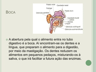 BOCA
 A abertura pela qual o alimento entra no tubo
digestivo é a boca. Aí encontram-se os dentes e a
língua, que preparam o alimento para a digestão,
por meio da mastigação. Os dentes reduzem os
alimentos em pequenos pedaços, misturando-os à
saliva, o que irá facilitar a futura ação das enzimas.
 