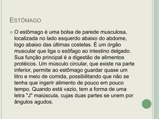 ESTÔMAGO
 O estômago é uma bolsa de parede musculosa,
localizada no lado esquerdo abaixo do abdome,
logo abaixo das últimas costelas. É um órgão
muscular que liga o esôfago ao intestino delgado.
Sua função principal é a digestão de alimentos
protéicos. Um músculo circular, que existe na parte
inferior, permite ao estômago guardar quase um
litro e meio de comida, possibilitando que não se
tenha que ingerir alimento de pouco em pouco
tempo. Quando está vazio, tem a forma de uma
letra "J" maiúscula, cujas duas partes se unem por
ângulos agudos.
 