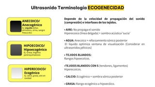 semiologia-ecografica-1-pptx