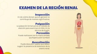 Semiología de la enfermedad renal).pptx