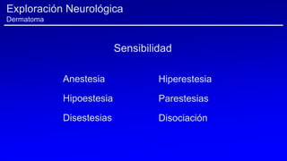 Exploración Neurológica
Dermatoma
Anestesia
Hipoestesia
Disestesias
Hiperestesia
Parestesias
Disociación
Sensibilidad
 