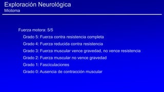 Exploración Neurológica
Miotoma
Fuerza motora: 5/5
Grado 5: Fuerza contra resistencia completa
Grado 4: Fuerza reducida contra resistencia
Grado 3: Fuerza muscular vence gravedad, no vence resistencia
Grado 2: Fuerza muscular no vence gravedad
Grado 1: Fasciculaciones
Grado 0: Ausencia de contracción muscular
 