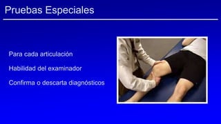 Para cada articulación
Habilidad del examinador
Confirma o descarta diagnósticos
Pruebas Especiales
 