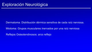 Exploración Neurológica
Dermatoma: Distribución dérmica sensitiva de cada raíz nerviosa.
Miotoma: Grupos musculares inervados por una raíz nerviosa
Reflejos Osteotendinosos: arco reflejo
 