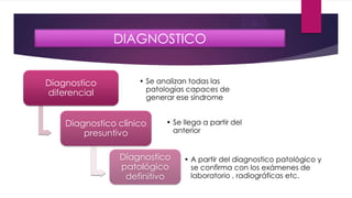 DIAGNOSTICO
Diagnostico
diferencial
• Se analizan todas las
patologías capaces de
generar ese síndrome
Diagnostico clínico
presuntivo
• Se llega a partir del
anterior
Diagnostico
patológico
definitivo
• A partir del diagnostico patológico y
se confirma con los exámenes de
laboratorio , radiográficas etc.
 