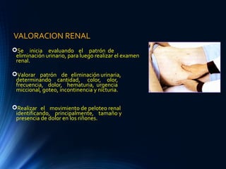 VALORACION RENAL
Se inicia evaluando el patrón de
eliminación urinario, para luego realizar el examen
renal.
Valorar patrón de eliminación urinaria,
determinando cantidad, color, olor,
frecuencia, dolor, hematuria, urgencia
miccional, goteo, incontinencia y nicturia.
Realizar el movimiento de peloteo renal
identificando, principalmente, tamaño y
presencia de dolor en los riñones.
 