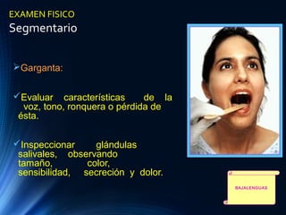 EXAMEN FISICO
Segmentario
Garganta:
Evaluar características de la
voz, tono, ronquera o pérdida de
ésta.
Inspeccionar glándulas
salivales, observando
tamaño, color,
sensibilidad, secreción y dolor.
BAJALENGUAS
 