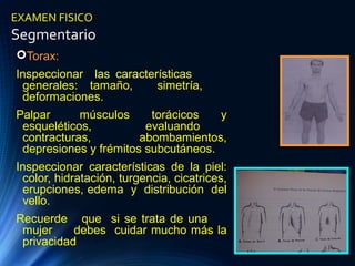 EXAMEN FISICO
Segmentario
Torax:
Inspeccionar las características
generales: tamaño, simetría,
deformaciones.
Palpar músculos torácicos y
esqueléticos, evaluando
contracturas, abombamientos,
depresiones y frémitos subcutáneos.
Inspeccionar características de la piel:
color, hidratación, turgencia, cicatrices,
erupciones, edema y distribución del
vello.
Recuerde que si se trata de una
mujer debes cuidar mucho más la
privacidad
 