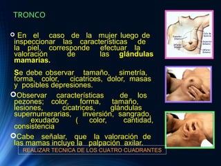 TRONCO
 En el caso de la mujer luego de
inspeccionar las características de
la piel, corresponde efectuar la
valoración de las glándulas
mamarias.
Se debe observar tamaño, simetría,
forma, color, cicatrices, dolor, masas
y posibles depresiones.
Observar características de los
pezones; color, forma, tamaño,
lesiones, cicatrices, glándulas
supernumerarias, inversión, sangrado,
exudado ( color, cantidad,
consistencia
Cabe señalar, que la valoración de
las mamas incluye la palpación axilar.
REALIZAR TECNICA DE LOS CUATRO CUADRANTES
 