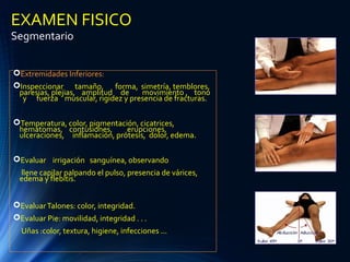 EXAMEN FISICO
Segmentario
Extremidades Inferiores:
Inspeccionar tamaño, forma, simetría, temblores,
paresias, plejias, amplitud de movimiento , tono
y fuerza muscular, rigidez y presencia de fracturas.
Temperatura, color, pigmentación, cicatrices,
hematomas, contusiones, erupciones,
ulceraciones, inflamación, prótesis, dolor, edema.
Evaluar irrigación sanguínea, observando
llene capilar palpando el pulso, presencia de várices,
edema y flebitis.
EvaluarTalones: color, integridad.
Evaluar Pie: movilidad, integridad . . .
Uñas :color, textura, higiene, infecciones ...
 
