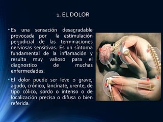 1. EL DOLOR
• Es una sensación desagradable
provocada por la estimulación
perjudicial de las terminaciones
nerviosas sensitivas. Es un síntoma
fundamental de la inflamación y
resulta muy valioso para el
diagnostico de muchas
enfermedades.
• El dolor puede ser leve o grave,
agudo, crónico, lancínate, urente, de
tipo cólico, sordo o intenso o de
localización precisa o difusa o bien
referida.
 