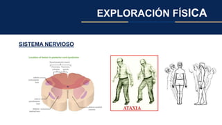 EXPLORACIÓN FÍSICA
SISTEMA NERVIOSO
 