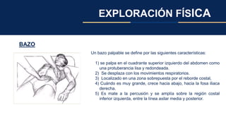 EXPLORACIÓN FÍSICA
BAZO
Un bazo palpable se define por las siguientes características:
1) se palpa en el cuadrante superior izquierdo del abdomen como
una protuberancia lisa y redondeada.
2) Se desplaza con los movimientos respiratorios.
3) Localizado en una zona sobrepuesta por el reborde costal,
4) Cuándo es muy grande, crece hacia abajo, hacia la fosa iliaca
derecha.
5) Es mate a la percusión y se amplía sobre la región costal
inferior izquierda, entre la línea axilar media y posterior.
 