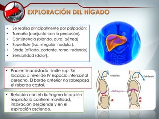 Examen Físico de Abdomen | PPTX