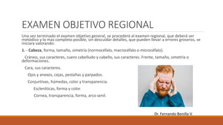 EXAMEN OBJETIVO REGIONAL
Una vez terminado el examen objetivo general, se procederá al examen regional, que deberá ser
metódico y lo mas completo posible, sin descuidar detalles, que pueden llevar a errores groseros, se
iniciara valorando:
1. - Cabeza, forma, tamaño, simetría (normocéfalo, macrocéfalo o microcéfalo).
Cráneo, sus caracteres, cuero cabelludo y cabello, sus caracteres. Frente, tamaño, simetría o
deformaciones.
Cara, sus caracteres.
Ojos y anexos, cejas, pestañas y parpados.
Conjuntivas, húmedas, color y transparencia.
Escleróticas, forma y color.
Cornea, transparencia, forma, arco senil.
Dr. Fernando Bonilla V.
 