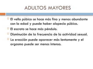 ADULTOS MAYORES
 El vello púbico se hace más fino y menos abundante
con la edad y puede haber alopecia púbica.
 El escroto se hace más péndulo.
 Disminución de la frecuencia de la actividad sexual.
 La erección puede aparecer más lentamente y el
orgasmo puede ser menos intenso.
 