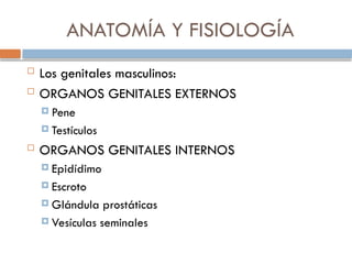 ANATOMÍA Y FISIOLOGÍA
 Los genitales masculinos:
 ORGANOS GENITALES EXTERNOS
 Pene
 Testículos
 ORGANOS GENITALES INTERNOS
 Epidídimo
 Escroto
 Glándula prostáticas
 Vesículas seminales
 