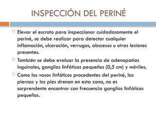 INSPECCIÓN DEL PERINÉ
 Elevar el escroto para inspeccionar cuidadosamente el
periné, se debe realizar para detectar cualquier
inflamación, ulceración, verrugas, abscesos u otras lesiones
presentes.
 También se debe evaluar la presencia de adenopatías
inguinales, ganglios linfáticos pequeños (0,5 cm) y móviles.
 Como los vasos linfáticos procedentes del periné, las
piernas y los pies drenan en esta zona, no es
sorprendente encontrar con frecuencia ganglios linfáticos
pequeños.
 