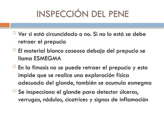 INSPECCIÓN DEL PENE
 Ver si está circuncidado o no. Si no lo está se debe
retraer el prepucio
 El material blanco caseoso debajo del prepucio se
llama ESMEGMA
 En la fimosis no se puede retraer el prepucio y esto
impide que se realice una exploración física
adecuada del glande, también se acumula esmegma
 Se inspecciona el glande para detectar úlceras,
verrugas, nódulos, cicatrices y signos de inflamación
 
