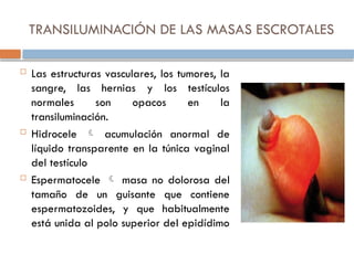 TRANSILUMINACIÓN DE LAS MASAS ESCROTALES
 Las estructuras vasculares, los tumores, la
sangre, las hernias y los testículos
normales son opacos en la
transiluminación.
 Hidrocele  acumulación anormal de
líquido transparente en la túnica vaginal
del testículo
 Espermatocele  masa no dolorosa del
tamaño de un guisante que contiene
espermatozoides, y que habitualmente
está unida al polo superior del epidídimo
 