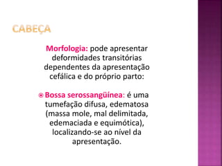 Morfologia: pode apresentar
deformidades transitórias
dependentes da apresentação
cefálica e do próprio parto:
 Bossa serossangüínea: é uma
tumefação difusa, edematosa
(massa mole, mal delimitada,
edemaciada e equimótica),
localizando-se ao nível da
apresentação.
 