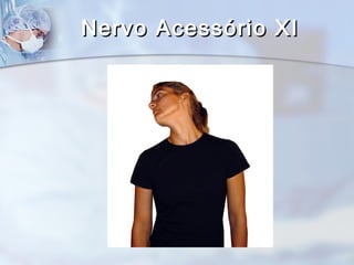 Nervo Acessório XINervo Acessório XI
 