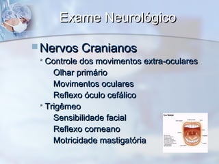 Exame NeurológicoExame Neurológico
 Nervos CranianosNervos Cranianos
** Controle dos movimentos extra-ocularesControle dos movimentos extra-oculares
Olhar primárioOlhar primário
Movimentos ocularesMovimentos oculares
Reflexo óculo cefálicoReflexo óculo cefálico
** TrigêmeoTrigêmeo
Sensibilidade facialSensibilidade facial
Reflexo corneanoReflexo corneano
Motricidade mastigatóriaMotricidade mastigatória
 