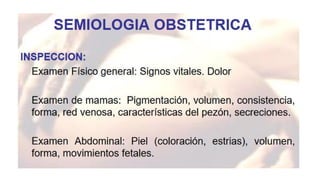 SEMIOLOGIA OBSTETRICA detallado en el area de ginecologia ocr.pdf