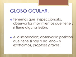 GLOBO OCULAR.
   Tenemos que inspeccionarlo,
    observar los movimientos que tiene y
    si tiene alguna lesión.

   A la inspeccion; observar la posición
    que tiene si hay o no eno – y
    exoftalmos, proptosis graves.
 
