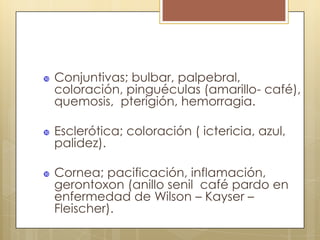    Conjuntivas; bulbar, palpebral,
    coloración, pinguéculas (amarillo- café),
    quemosis, pterigión, hemorragia.

   Esclerótica; coloración ( ictericia, azul,
    palidez).

   Cornea; pacificación, inflamación,
    gerontoxon (anillo senil café pardo en
    enfermedad de Wilson – Kayser –
    Fleischer).
 