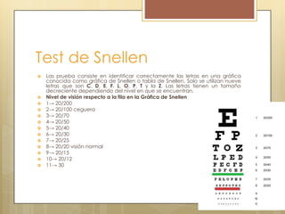 Test de Snellen
   Las prueba consiste en identificar correctamente las letras en una gráfica
    conocida como gráfica de Snellen o tabla de Snellen. Solo se utilizan nueve
    letras que son C, D, E, F, L, O, P, T y la Z. Las letras tienen un tamaño
    decreciente dependiendo del nivel en que se encuentran.
   Nivel de visión respecto a la fila en la Gráfica de Snellen
   1→ 20/200
   2→ 20/100 ceguera
   3→ 20/70
   4→ 20/50
   5→ 20/40
   6→ 20/30
   7→ 20/25
   8→ 20/20 visión normal
   9→ 20/15
   10→ 20/12
   11→ 30
 