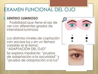 EXAMEN FUNCIONAL DEL OJO
3. SENTIDO LUMINOSO
    Posibilidad que tiene el ojo de
  ver con diferentes grados de
  intensidad luminosa

 Los distintos niveles de captación
  con escasa luz y en un tiempo
  variable se le llama:
  “ADAPTACIÓN DEL OJO”
 Se explora mediante: “prueba
  de adaptación a la oscuridad” y
  “prueba de adaptación a la luz”
 