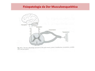 Fisiopatologia da Dor Musculoesquelética
 