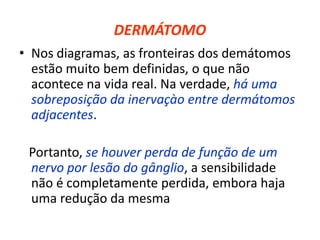 DERMÁTOMO
• Nos diagramas, as fronteiras dos demátomos
estão muito bem definidas, o que não
acontece na vida real. Na verdade, há uma
sobreposição da inervaçào entre dermátomos
adjacentes.
Portanto, se houver perda de função de um
nervo por lesão do gânglio, a sensibilidade
não é completamente perdida, embora haja
uma redução da mesma
 