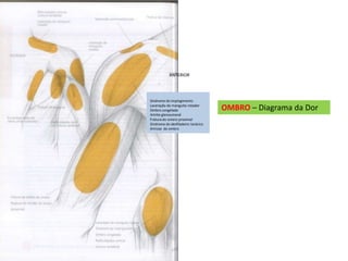 OMBRO – Diagrama da Dor
Síndrome do impingimento
Laceração do manguito rotador
Ombro congelado
Artrite glenoumeral
Fratura do úmero proximal
Síndrome do desfiladeiro torácico
Artrose do ombro
ANTERIOR
 