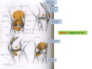 JOELHO – Diagrama da Dor
Bursite do Joelho
(síndrome da fricção
da faixa iliotibial)
Bursite do Joelho
(Bursite do
ligamento
colateral fibular)
Dor patelofemoral
Fratura da patela
Patela bipartida
Fratura do fêmur distal
(Fratura tibiofemoral)
Cisto popliteu
(Cisto de Baker)
 