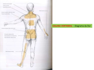 COLUNA VERTEBRAL - Diagrama da Dor
 